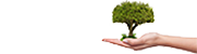 Logo Michel Illouz, créateur de solutions